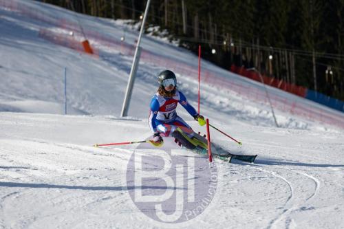 BJT 8242 DxO
