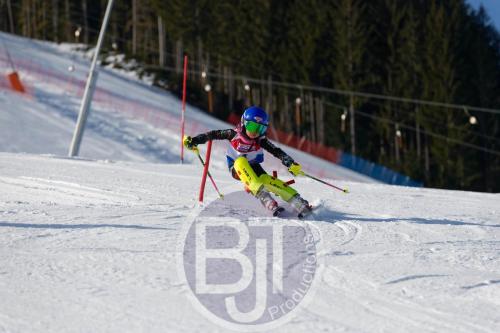 BJT 8245 DxO