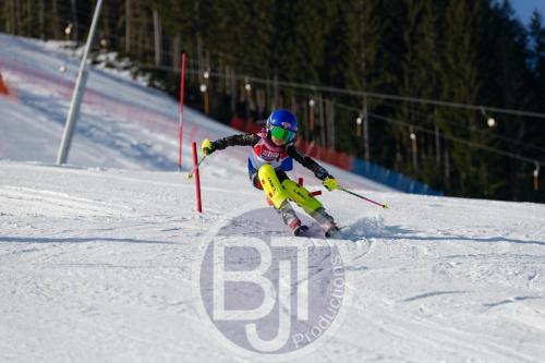BJT 8246 DxO