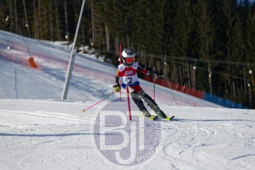 BJT 8250 DxO