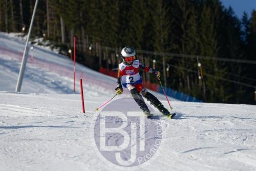 BJT 8252 DxO