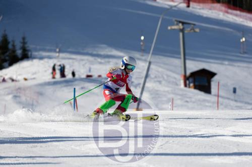 BJT 8260 DxO