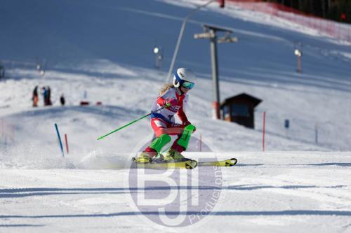 BJT 8261 DxO