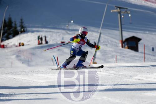 BJT 8284 DxO