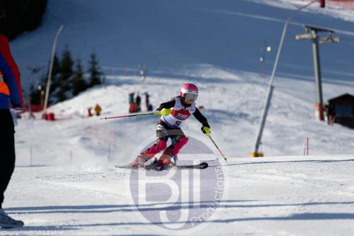 BJT 8290 DxO
