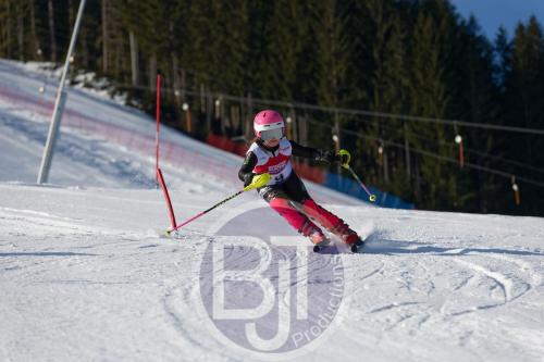 BJT 8292 DxO