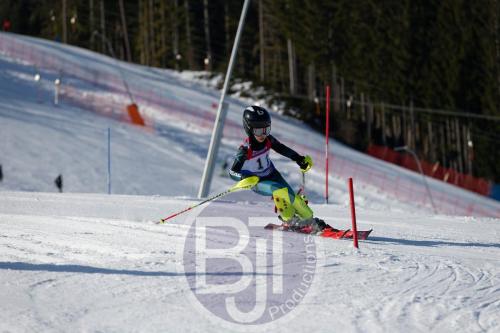 BJT 8300 DxO