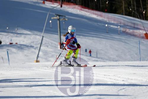 BJT 8312 DxO