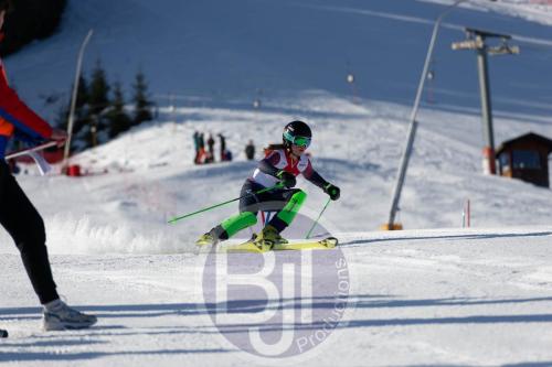 BJT 8317 DxO