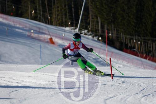BJT 8319 DxO