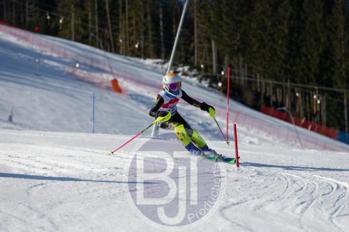 BJT 8328 DxO