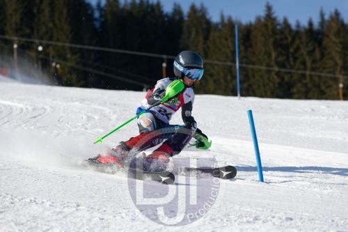 BJT 8365 DxO