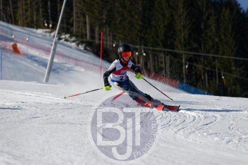BJT 8367 DxO