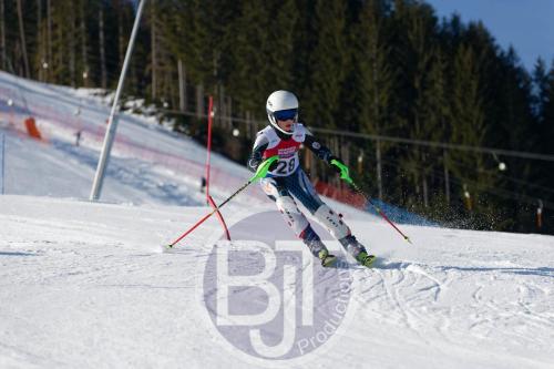BJT 8372 DxO