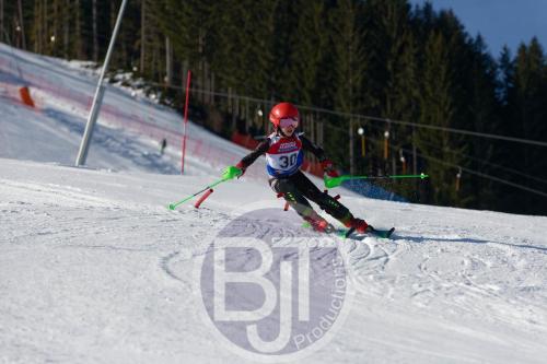 BJT 8382 DxO