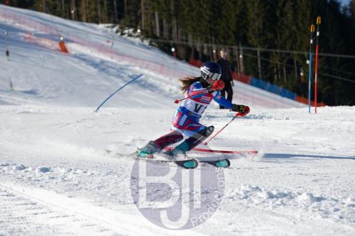 BJT 8395 DxO