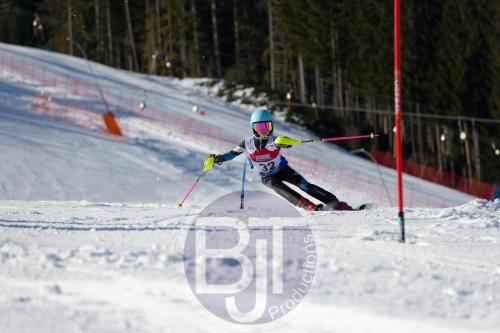BJT 8408 DxO