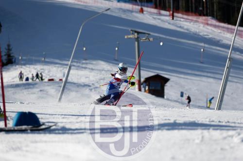 BJT 8442 DxO