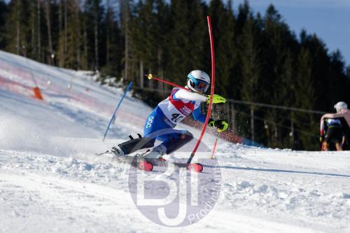 BJT 8447 DxO