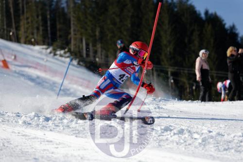 BJT 8456 DxO