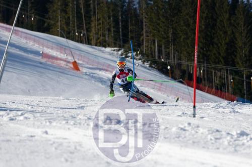 BJT 8463 DxO