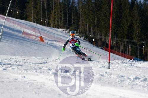 BJT 8464 DxO
