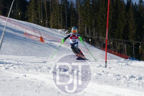BJT 8465 DxO