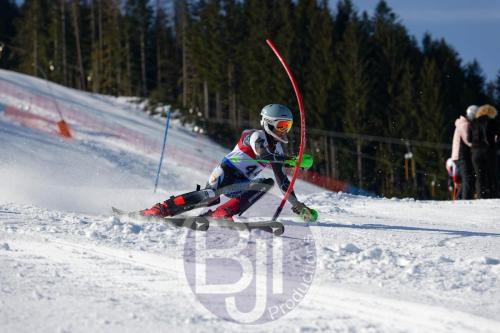BJT 8466 DxO
