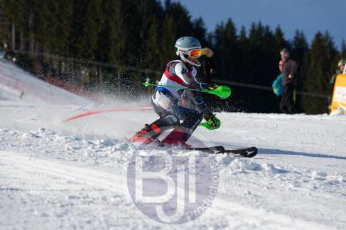 BJT 8468 DxO