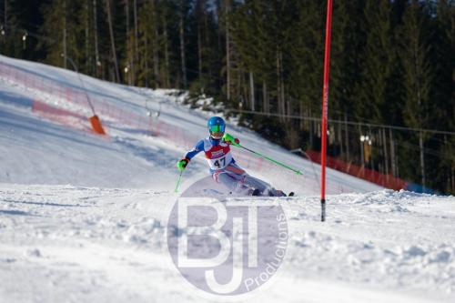 BJT 8479 DxO