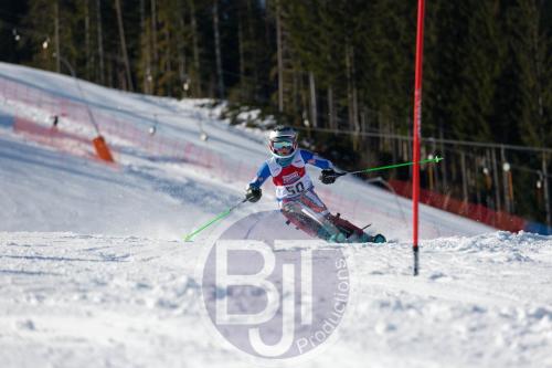 BJT 8494 DxO