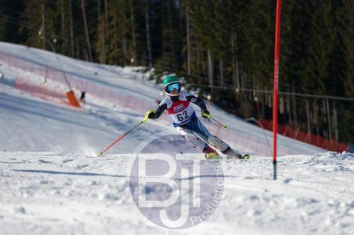 BJT 8546 DxO