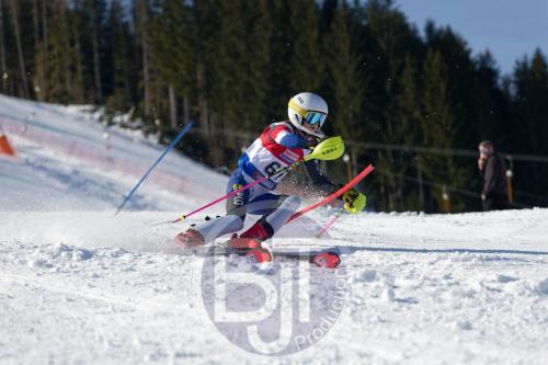 BJT 8575 DxO