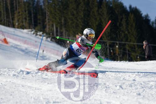 BJT 8579 DxO