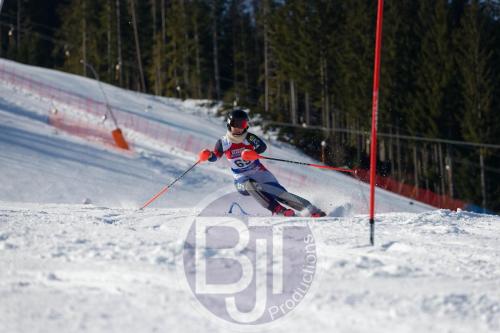 BJT 8582 DxO