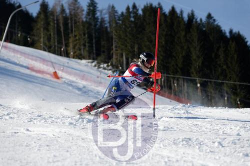BJT 8584 DxO