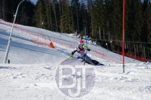 BJT 8587 DxO