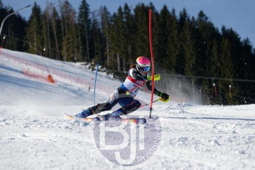 BJT 8589 DxO