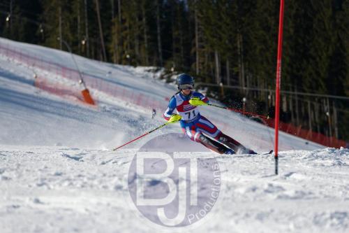 BJT 8592 DxO
