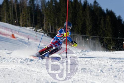 BJT 8594 DxO