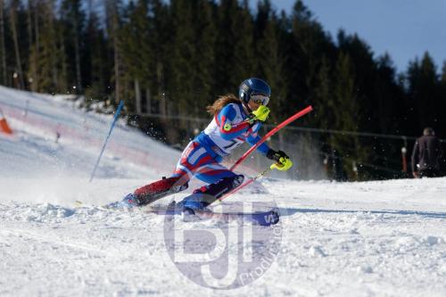 BJT 8595 DxO