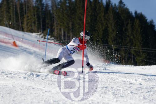 BJT 8614 DxO