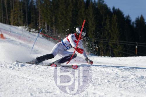 BJT 8615 DxO