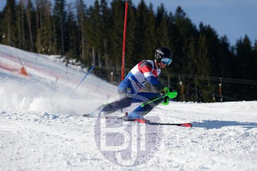 BJT 8627 DxO