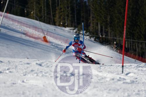 BJT 8630 DxO