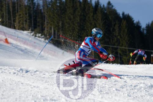 BJT 8634 DxO
