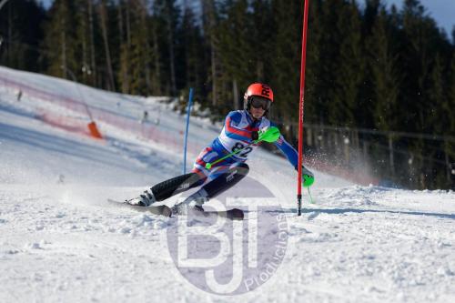 BJT 8649 DxO