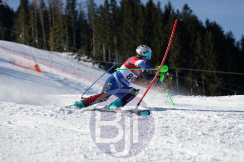 BJT 8660 DxO