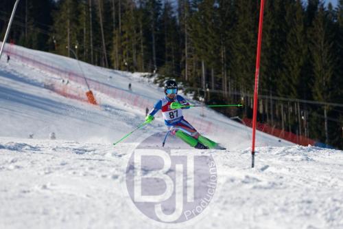 BJT 8675 DxO