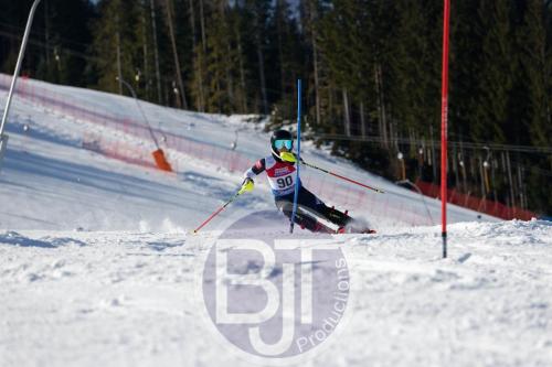 BJT 8686 DxO